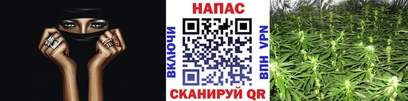 Бошки марихуана план Нолинск